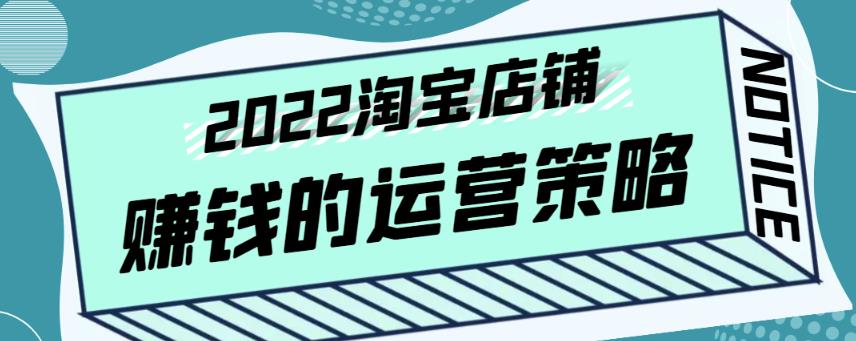 震宇老师·2022年淘宝店铺赚钱的运营策略，一套能够盈利的赚钱打法 第1张